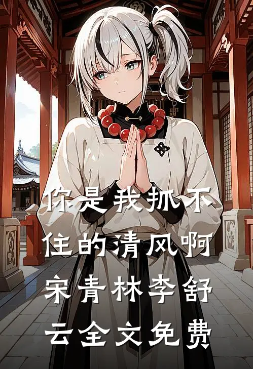 你是我抓不住的清风啊宋青林李舒云全文免费