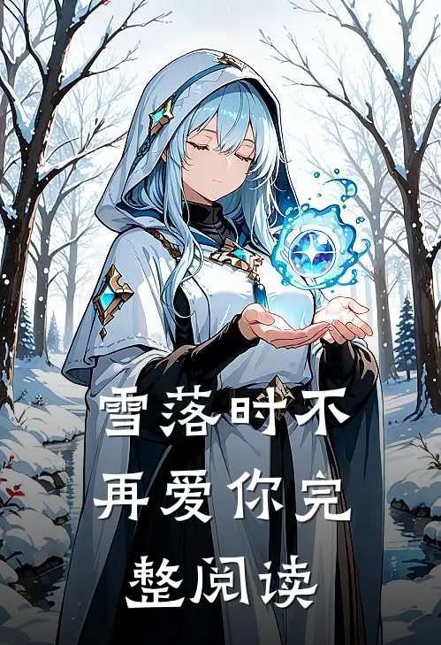 雪落时不再爱你完整阅读