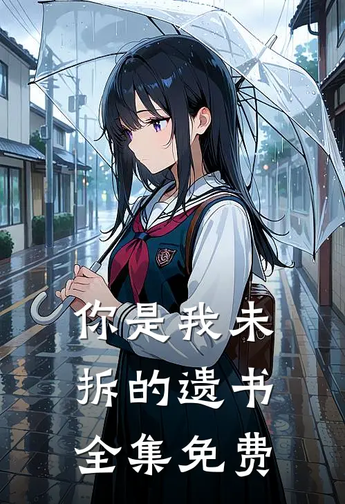 你是我未拆的遗书全集免费