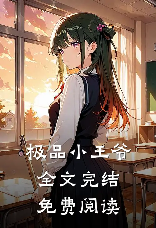 极品小王爷全文完结免费阅读