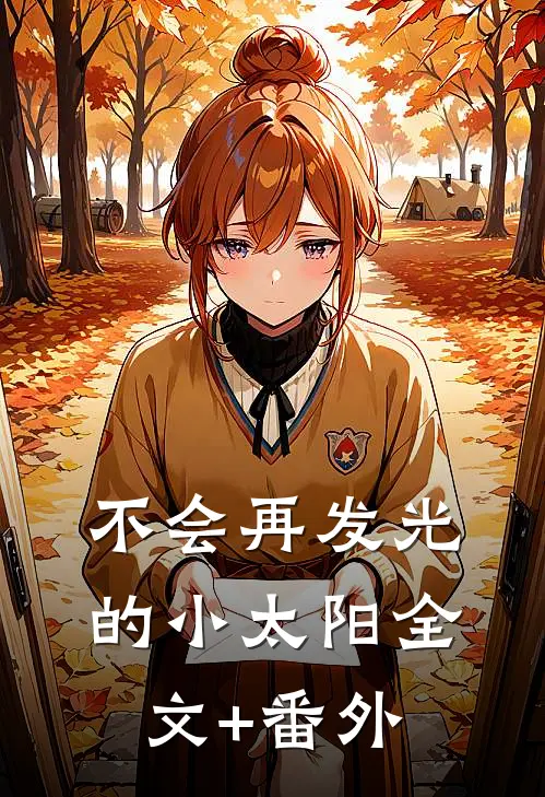 不会再发光的小太阳全文+番外