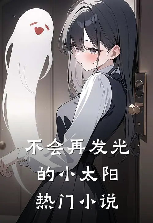 不会再发光的小太阳热门小说