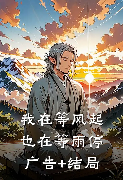 我在等风起，也在等雨停广告+结局