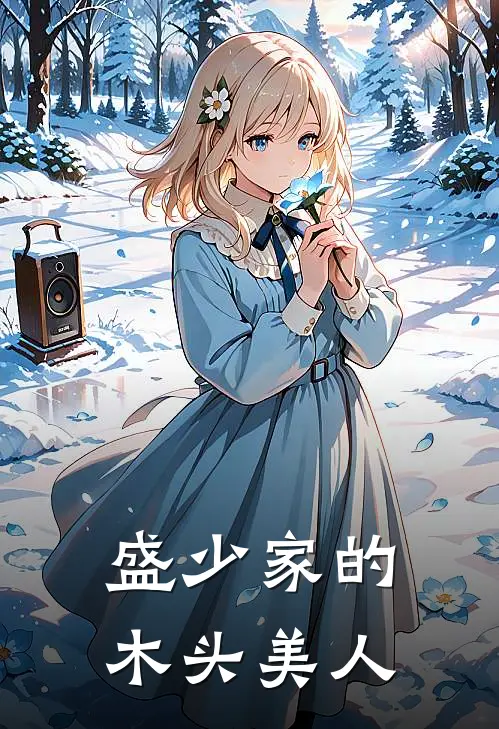 盛少家的木头美人