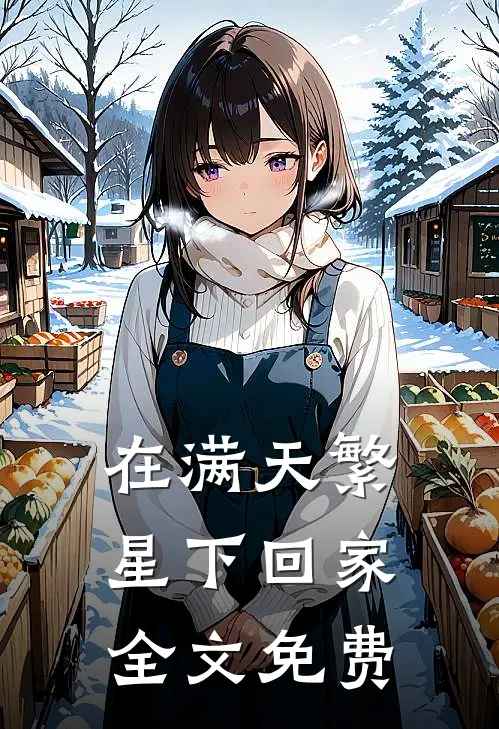 在满天繁星下回家全文免费