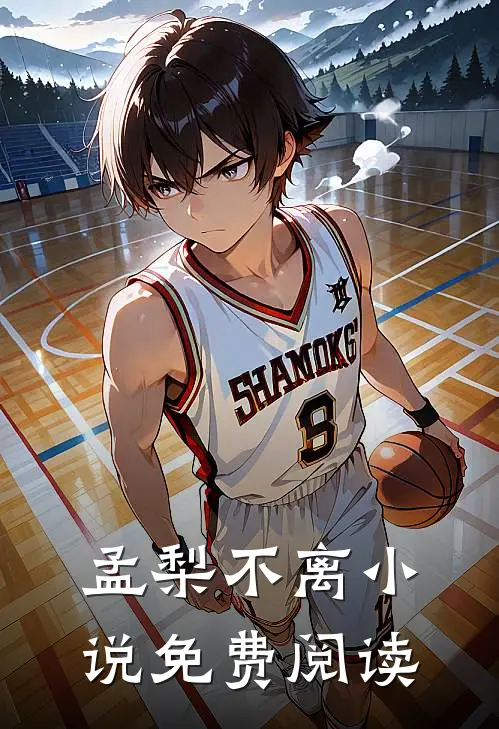 孟梨不离小说免费阅读