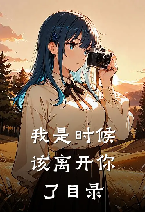 我是时候该离开你了目录