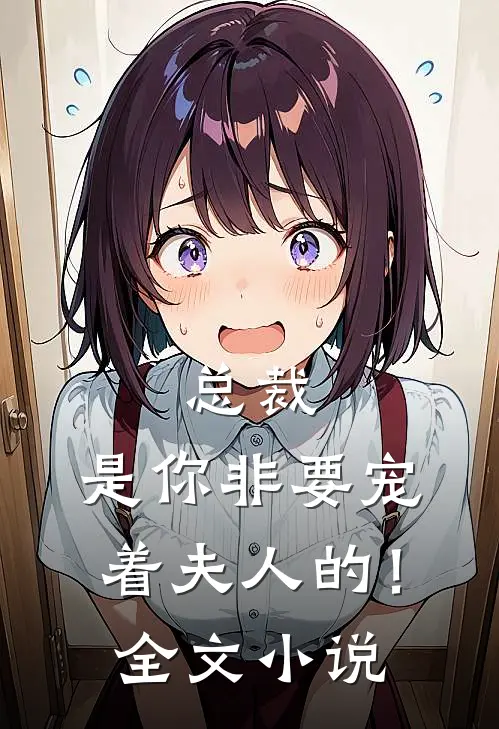 总裁，是你非要宠着夫人的！全文小说