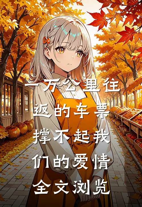 一万公里往返的车票撑不起我们的爱情全文浏览
