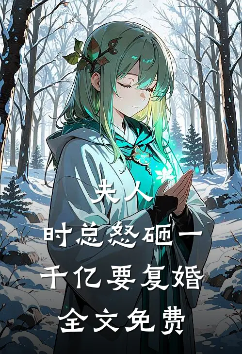 夫人，时总怒砸一千亿要复婚全文免费