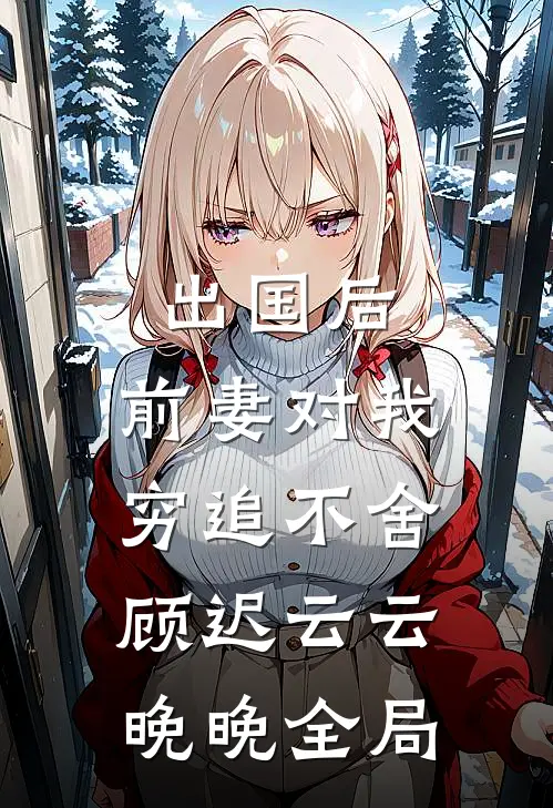 出国后，前妻对我穷追不舍顾迟云云晚晚全局