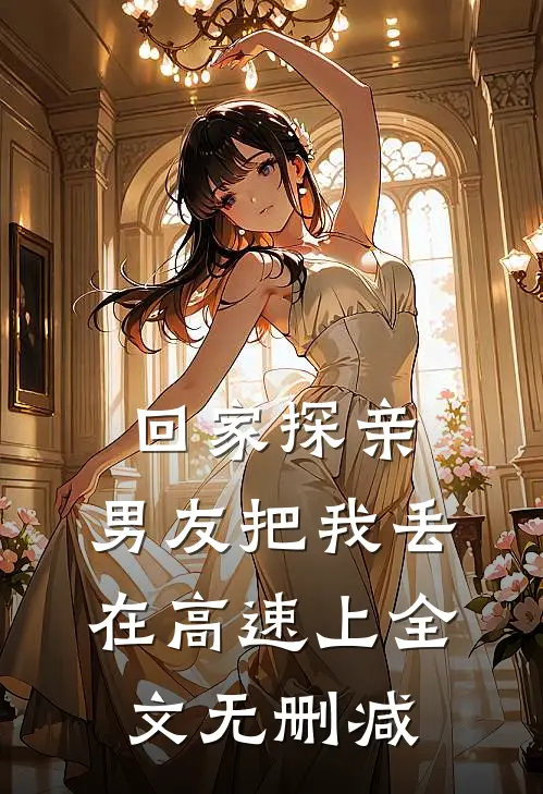 回家探亲，男友把我丢在高速上全文无删减