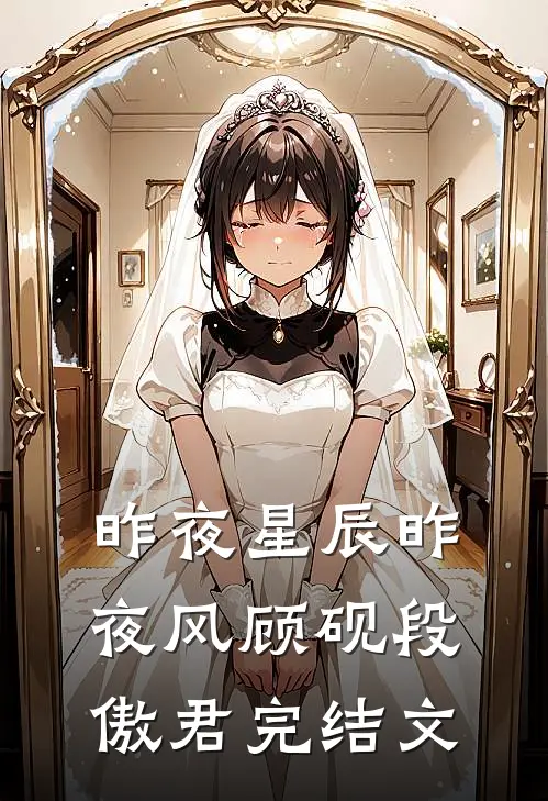 昨夜星辰昨夜风顾砚段傲君完结文