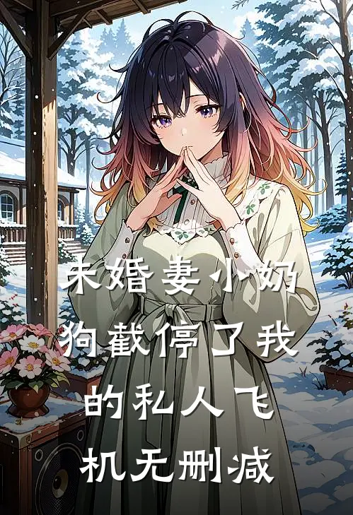 未婚妻小奶狗截停了我的私人飞机无删减
