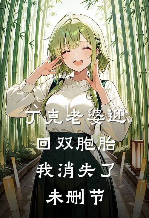 丁克老婆迎回双胞胎，我消失了未删节