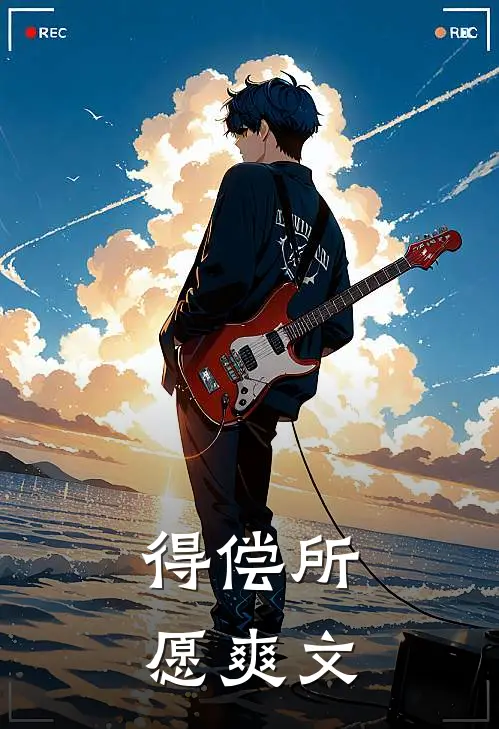 得偿所愿爽文