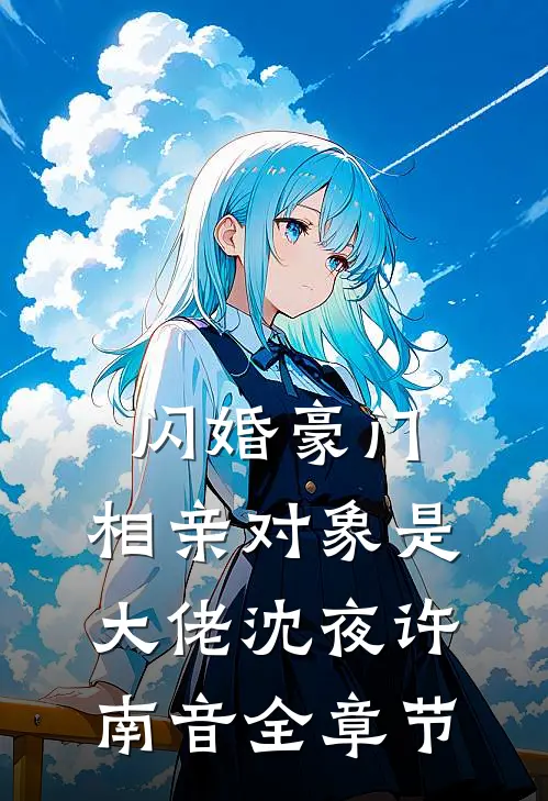 闪婚豪门：相亲对象是大佬沈夜许南音全章节