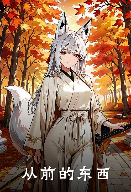 从前的东西