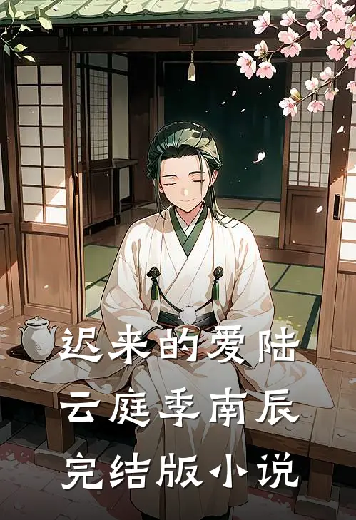 迟来的爱陆云庭季南辰完结版小说