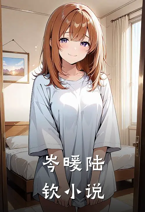岑暖陆钦小说