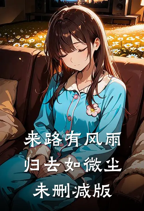 来路有风雨，归去如微尘未删减版