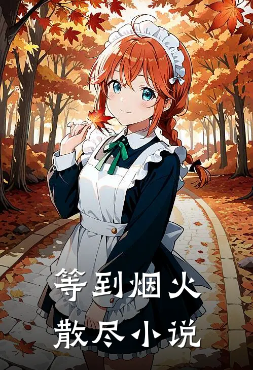 等到烟火散尽小说