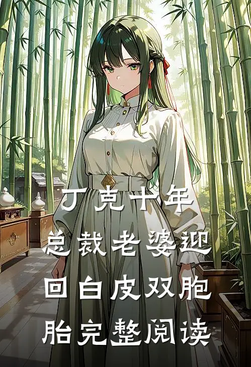 丁克十年，总裁老婆迎回白皮双胞胎完整阅读