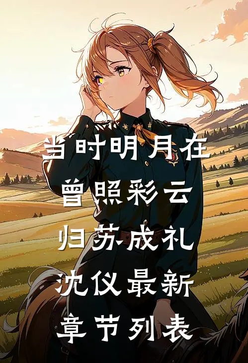 当时明月在，曾照彩云归苏成礼沈仪最新章节列表
