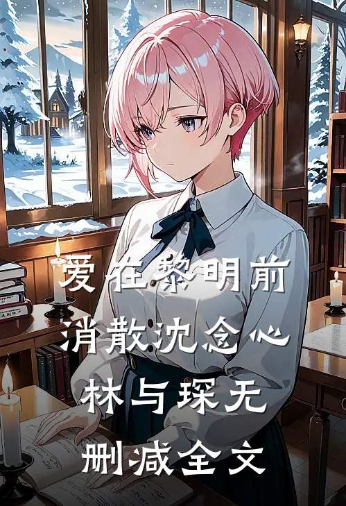爱在黎明前消散沈念心林与琛无删减全文