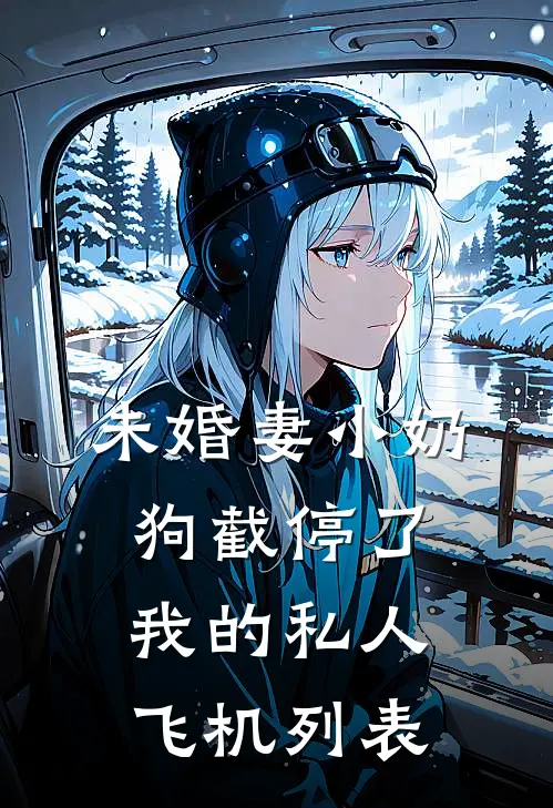 未婚妻小奶狗截停了我的私人飞机列表