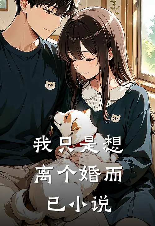 我只是想离个婚而已小说