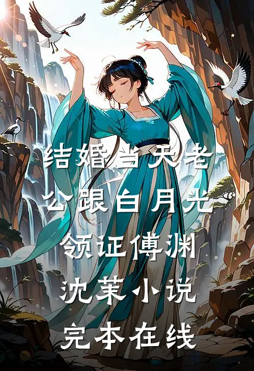 结婚当天老公跟白月光领证傅渊沈茉小说完本在线