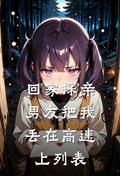 回家探亲，男友把我丢在高速上列表