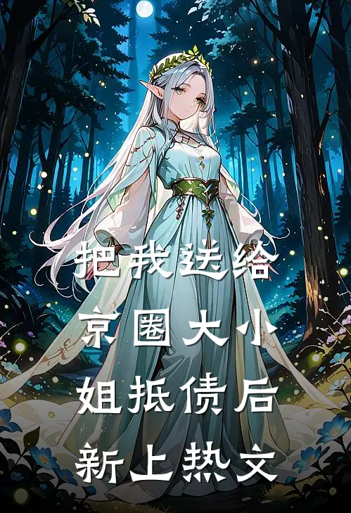 把我送给京圈大小姐抵债后新上热文