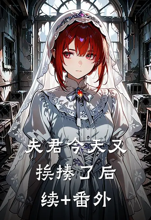 夫君今天又挨揍了后续+番外