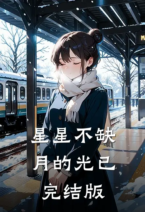 星星不缺月的光已完结版