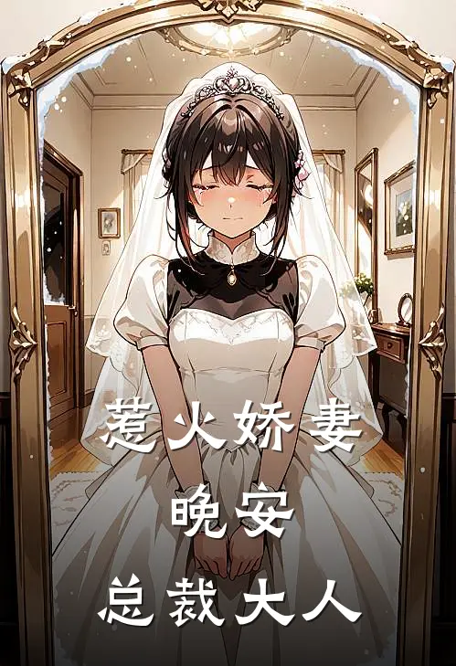 惹火娇妻：晚安，总裁大人