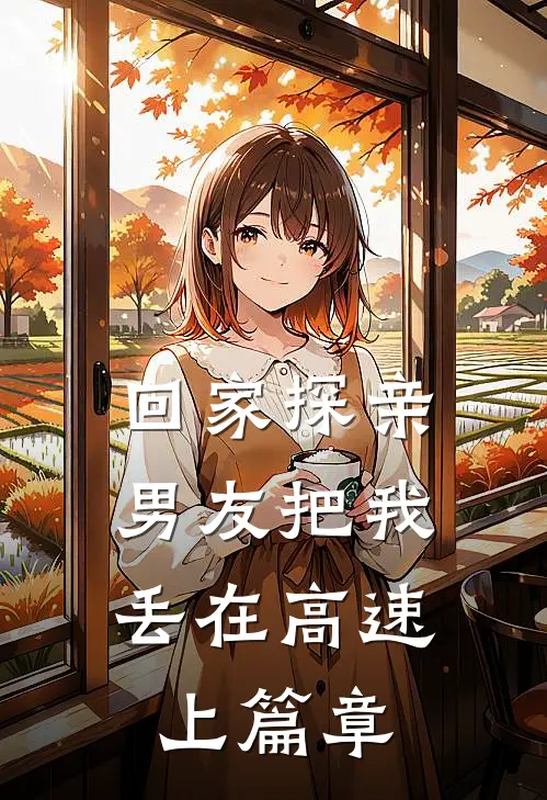 回家探亲，男友把我丢在高速上篇章