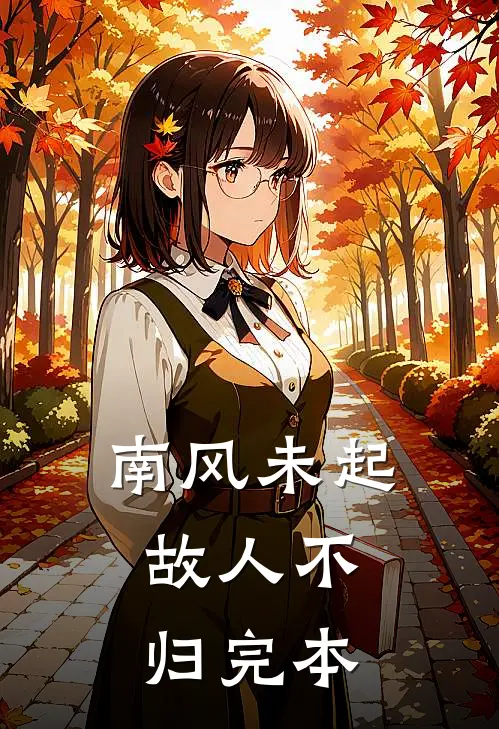 南风未起，故人不归完本