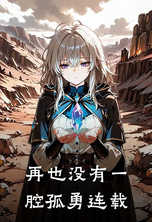 再也没有一腔孤勇连载