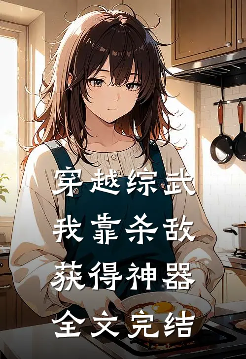 穿越综武，我靠杀敌获得神器全文完结