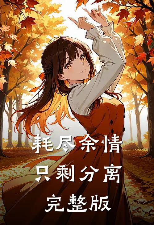 耗尽余情，只剩分离完整版