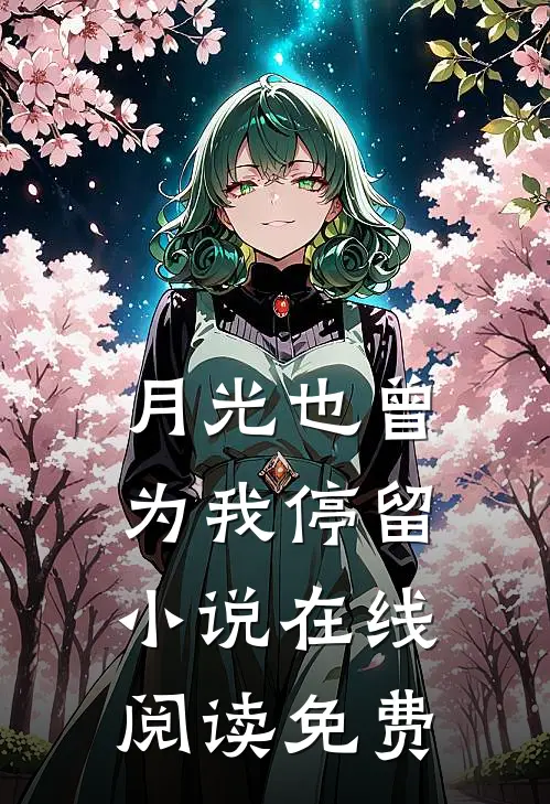 月光也曾为我停留小说在线阅读免费