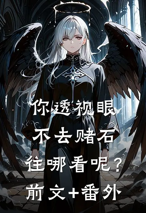 你透视眼不去赌石，往哪看呢？前文+番外