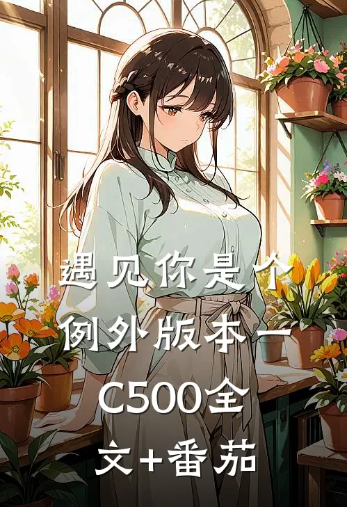 遇见你是个例外 版本一C500全文+番茄