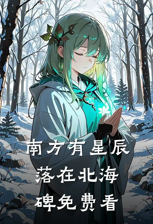 南方有星辰，落在北海碑免费看