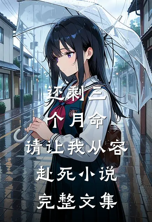 还剩三个月命,请让我从容赴死小说完整文集