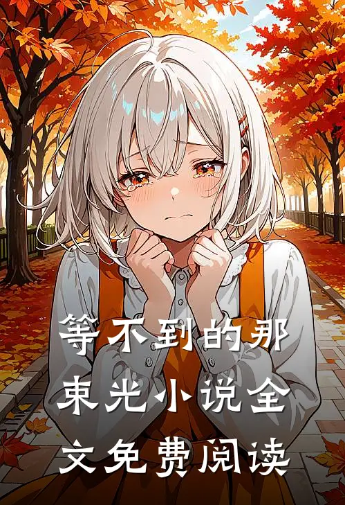 等不到的那束光小说全文免费阅读