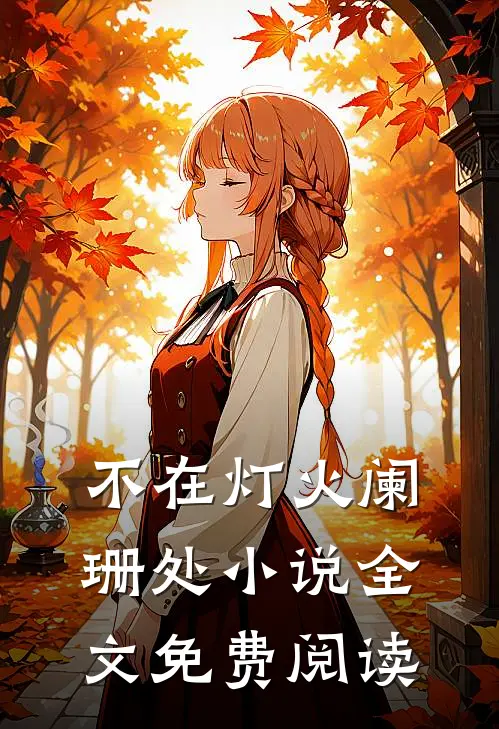 不在灯火阑珊处小说全文免费阅读
