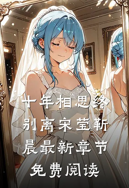 十年相思终别离宋莹靳晨最新章节免费阅读